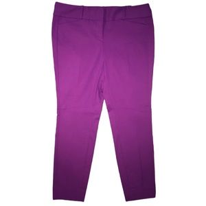 The Limited Exact Stretch Skinny Leg